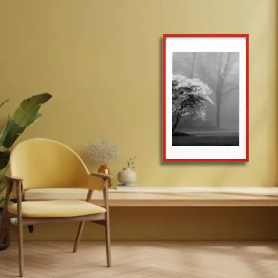 24x36" Red Frame with Mount Horizontal/Vertical No-Nail Hanging Depth Display {5}