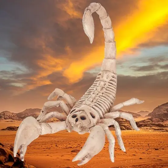 Realistic Skeleton Scorpion with Durable Injection Plastic 9 Inches Long {2}