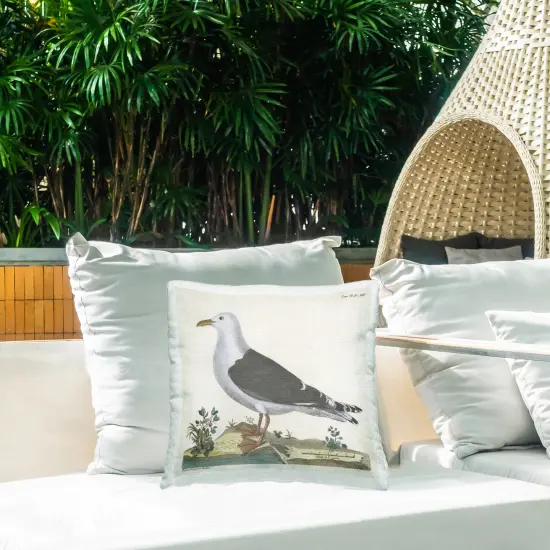 Stupell Industries Vintage Seagull Study Diagram Outdoor Printed Pillow design by Phillipa Katz, 18 x 7 x 18 {2}