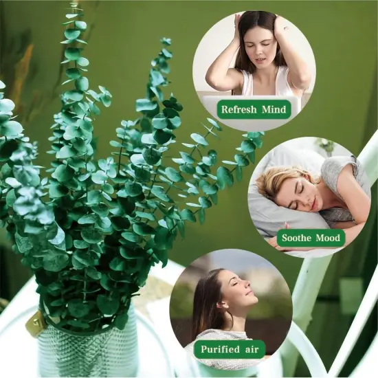 20 Pcs Preserved Dried Eucalyptus Stems, 17" Natural Fresh Eucalyptus Branches for Shower, Real Plant for Vase Filler {2}