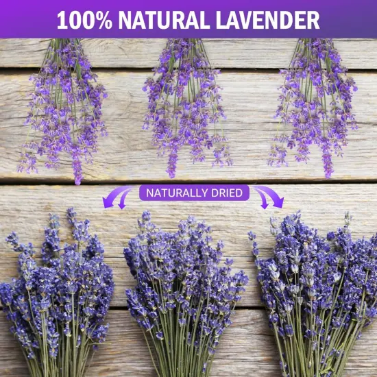 Dried Lavender Bundles 100 Natural Dried Lavender Flowers for Home Decoration, Photo Props, Home Fragrance, 2 Bundles Pack {2}