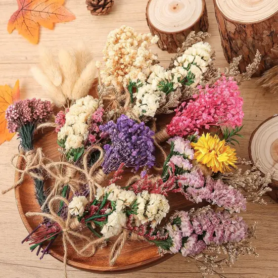 10 Pack Plus Size Dried Flower Bouquets Various Natural Dried Flower Combinations with Stem Dried Embossing Flower Bundles Dry Floral Arrangement for Vase, Carfts, DIY, Wedding, Home Decor (Plus) {4}