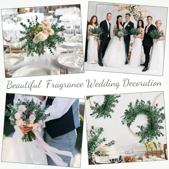 80 Pcs Large Dried Eucalyptus Stems 17inch Natural Real Fresh Eucalyptus Branches for Shower Hanging Fresh Plant Greenery Leaves for Wedding Bathroom Vase Filler DIY Garland Decor {4}