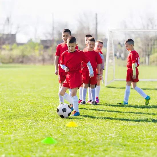 Soccer Goal with Heavy-Duty Net, UPVC Frame & Training Cones &ndash; Portable Backyard Soccer Set {3}