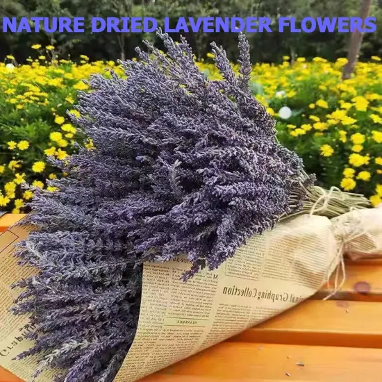 Natural Dried Lavender Flowers Bouquet Bundles with Stems 6 Pack -Christmas Day Valentine's Day Gifts Home Fragrance Decoration {2}
