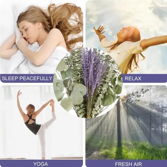 120 PCS Mix Dried Eucalyptus Stems & Lavender Flowers for Shower - 17'' Real Large Silver Dollar Leaves Branches, Fresh Hanging Plants for Vase, Natural Fragrance, Home Aromatic, Wedding Decor {4}