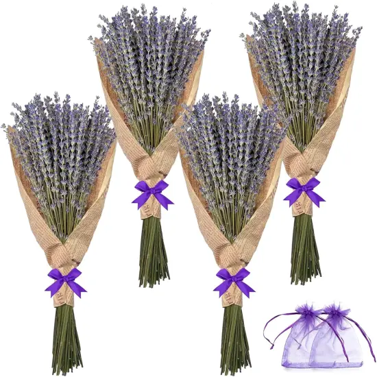 Dried Lavender Flowers Bundles, Natural Dry Lavender Flowers 440-480 Stems 16'' for Vase Home Wedding Party Decoration Arrangements Fragrance 4 Bundles {1}