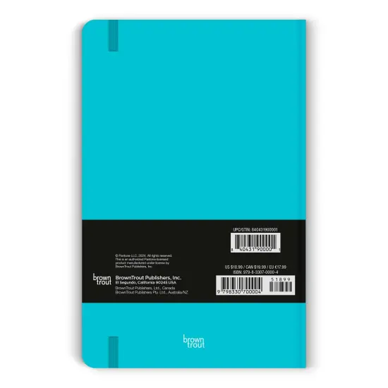 Pantone OFFICIAL Blue | 5.25 x 8.25 Inch Lined Compact Journal | Non-Dated | BrownTrout | Planning Stationery Diary {2}