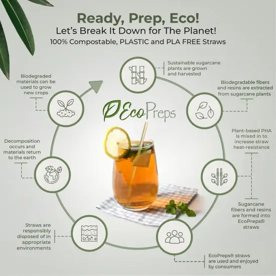 5&rdquo; Short Biodegradable Sugarcane Cocktail Straws | 200 Count, 100% Compostable, Plastic-Free, Eco-Friendly Drinking Straws | 5-Inch, Heat-Resistant PHA Coffee and Cocktail Stirrers {2}