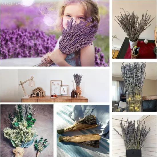 Dried Lavender Bundles, Natural Dried Lavender Flowers 150 Stems 15-17" for Shower Home Fragrance Weeding Crafts Decorr {3}