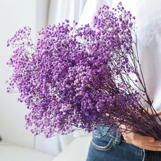 Dried-Flowers-Babys-Breath-Bouquet-17.2 inch 2500+ Flowers, Natural Gypsophila Branches for Home Decor, Wedding, Table Decor, DIY Wreath Floral, Dry Flowers Bulk for Vase (Purple) {1}