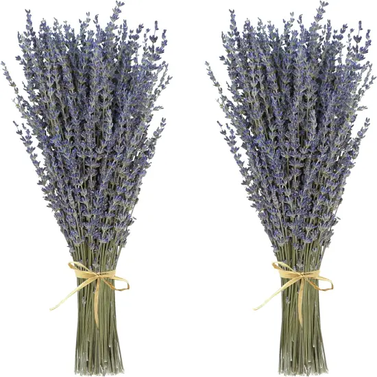Dried Lavender 2 Bunches 100% Fresh Natural Purple Bouquet Flowers for Bathroom Photo Props Crafts Decoration, 15-17" for Shower Weeding Vase Decor, Home Fragrance(200-220 Stems(100g/3.5oz Total)) {1}