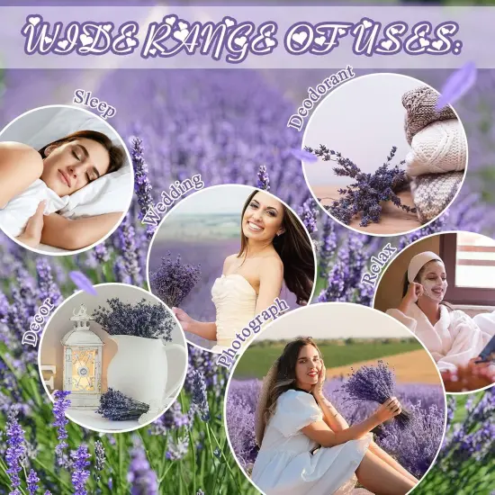 8 Bundles Dried Lavender Bundles 16 Inches 1120-1200 Stems French Dried Lavender Natural Dried Flowers Dried Lavender Bundle for Home Decorations Wedding Photo Props Party Flower Arrangement {3}