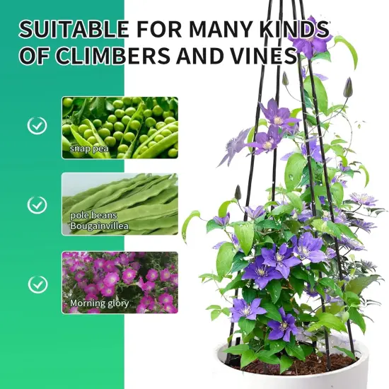 2 Pack Garden Trellis for Climbing Plants {5}