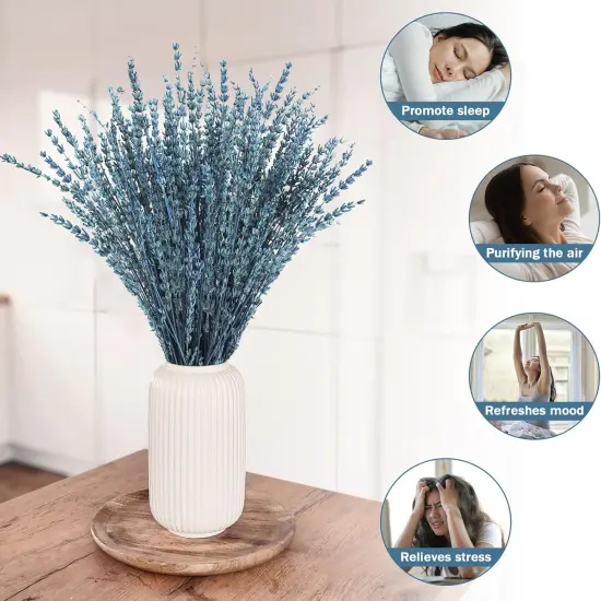 Dried Lavender Flowers, 16" Dried Lavender Bundles Dried Blue Flowers Preserved Lavender Stems Bouquet for Shower Weeding Home Fragrance Vase Crafts Decor, 200g(7.05oz) {2}
