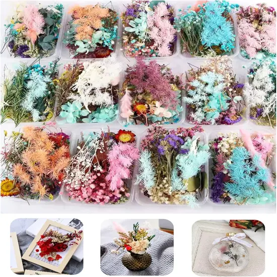3 Packs Real Natural Dried Flowers for Making Mobile Phone Case Candle Handmade Crafts Epoxy Resin Pendant Necklace Jewelry DIY Accessories {1}