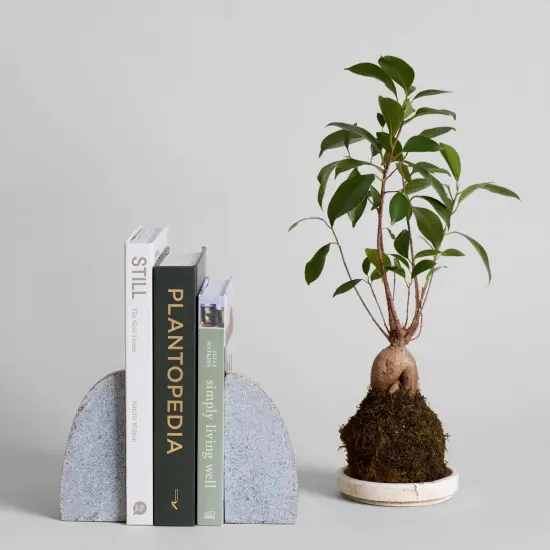 Stone Bookends, Set of 2 by Bloomist {4}