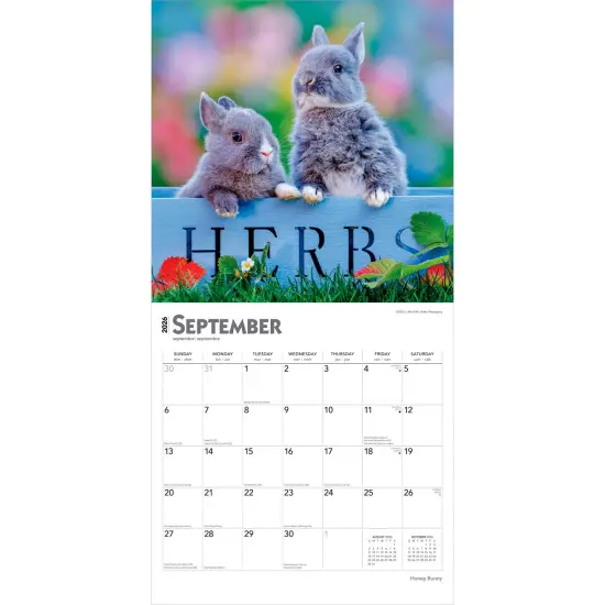 Honey Bunny | 2026 12 x 24 Inch (Hanging) Monthly Square Wall Calendar | Plastic-Free {4}