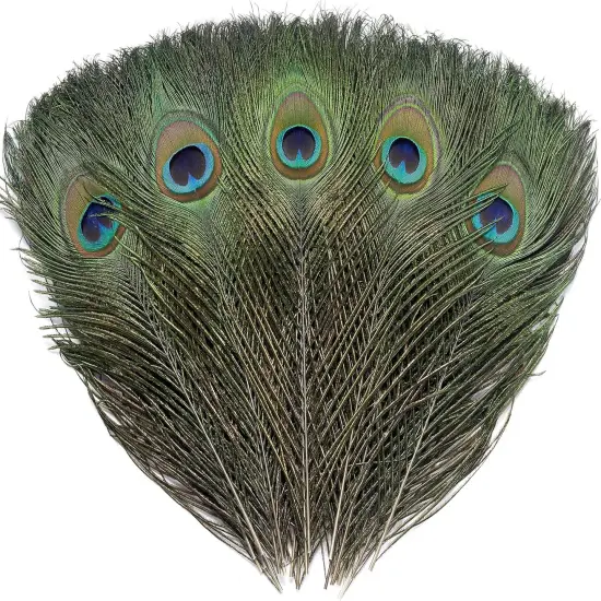 120 PCS Real Natural Peacock Eye Feathers {1}