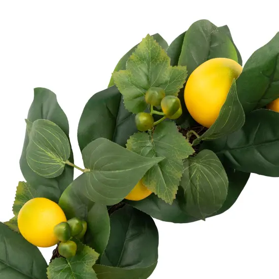 Northlight Lemon and Foliage Artificial Wreath, Yellow 22-Inch {5}