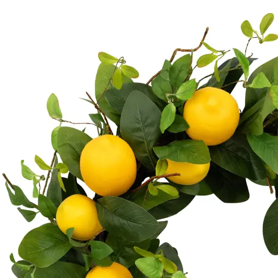 Northlight Lemons and Assorted Foliage Spring Wreath - 20" - Yellow {5}