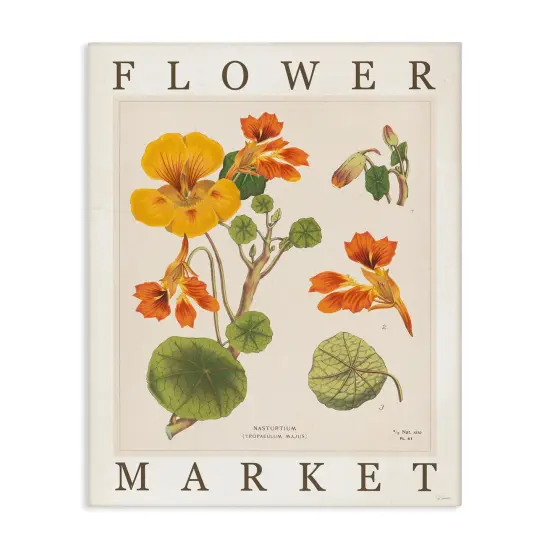 Stupell Industries Vintage Flower Market Blossoms Canvas By Sue Schlabach {1}