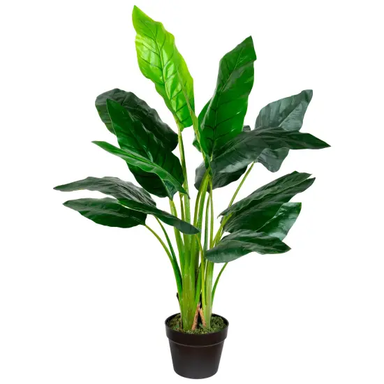 Northlight Potted Artificial Bird of Paradise Plant - 43" Green {3}