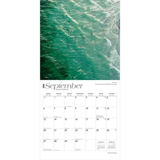 Florida Nature | 2026 12 x 24 Inch (Hanging) Monthly Square Wall Calendar | Plastic-Free {4}