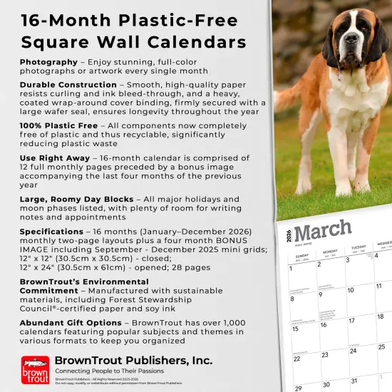 Saint Bernards | 2026 12 x 24 Inch (Hanging) Monthly Square Wall Calendar | Plastic-Free {6}