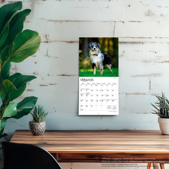 Australian Shepherds | 2026 7 x 14 Inch (Hanging) Monthly Mini Wall Calendar {5}