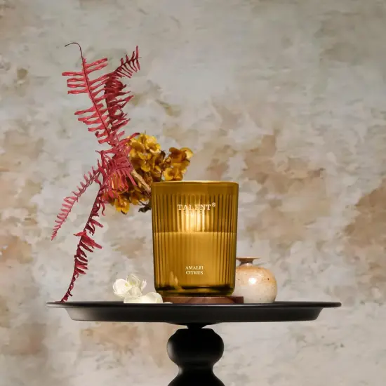 Jar Candles for Home Scented | Aromatherapy Candles Gifts for Women & Men | Natural Soy Candle | 8.4oz Traditional Style | Amalfi Citrus {2}