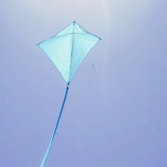 In the Breeze 3294 - Blueberry 30 Inch Diamond Kite - Solid Blue, Fun, Easy Flying Kite {2}