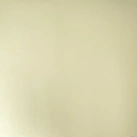 SAGE Matte Foil Cardstock - 12x12 Foil Cardstock - Encore {1}