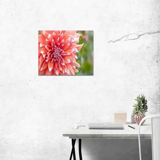 Paint by Numbers for Adults Beginner Students Canvas ONLY, Ideal Gift Choice for Birthday,Easter Day,Mother's Day {3}