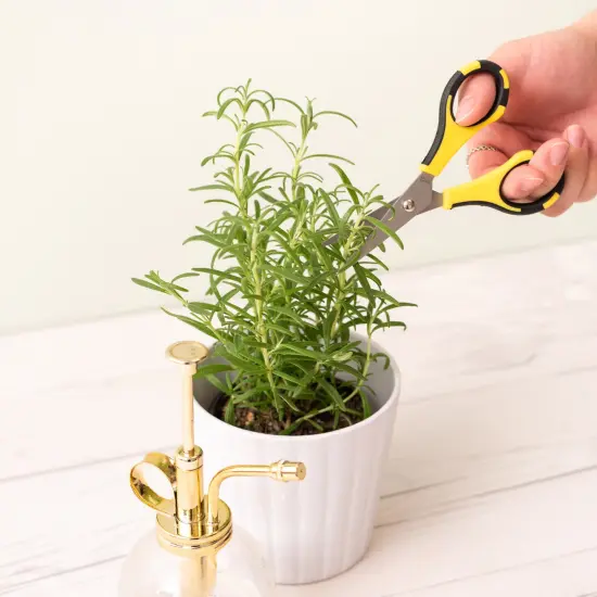 American Crafts Cutter Bee Herb Scissors-Yellow/Black {5}