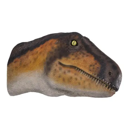 Theropod Dinosaur Head Life Size Statue {1}