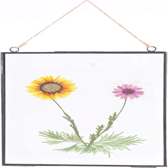 Glass Frame for Pressed Flowers, Wall Floating Brass Picture Frame for Pressed Flower, 11 x 8 Inch Large Copper Double Glass Photo Frame, Hanging Frame for Artwork Certificate Display(Black) {4}