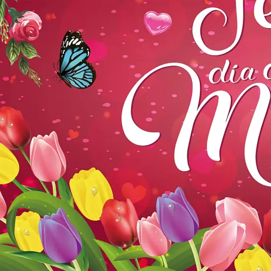 Rose Red Feliz D&iacute;a De Las Madres Backdrop Banner 71 x 45 Inch {4}