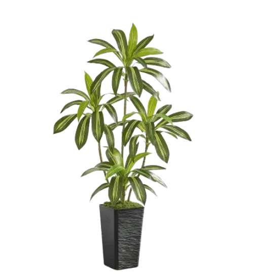 5FT Artificial Dracaena Silk Tree with Black Planter - Real Touch Fake Plant for Home & Office Decor, Faux Yucca Indoor Floor Tree {1}