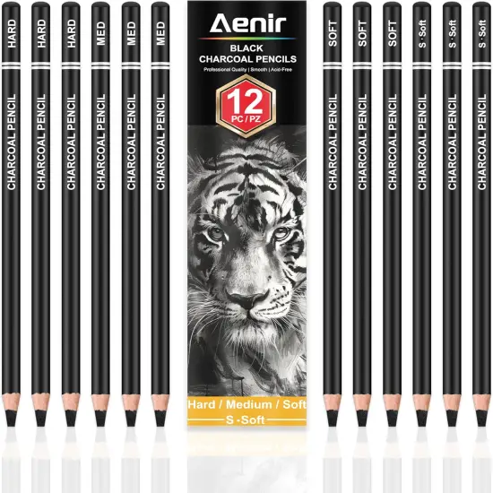 Set of 12, Charcoal Drawing Pencils {1}