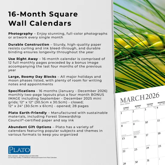 Simplicity | 2026 12 x 24 Inch (Hanging) Monthly Square Wall Calendar | Foil Stamped Cover {6}