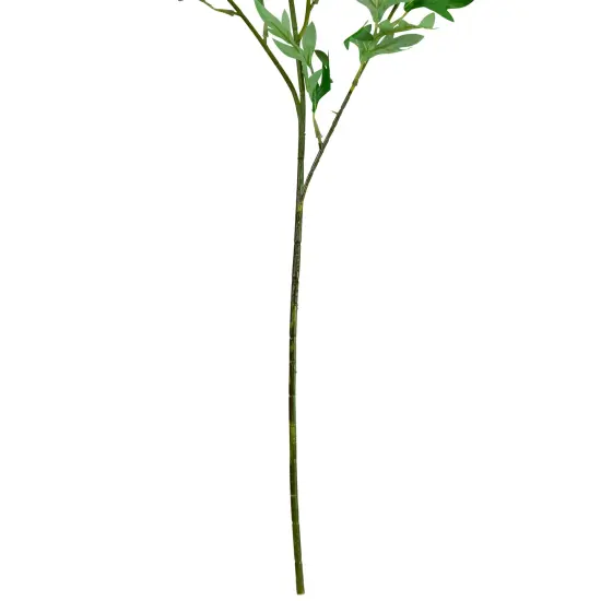 Northlight Finch Laceflower Artificial Floral Sprays- 27" - White and Green - Set of 6 {7}