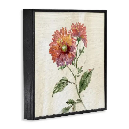 Stupell Industries Vintage Blooming Dahlia Framed Giclee By Nan {3}