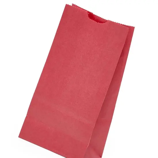 Colored Paper Carry Bags 4'' X 2 1/2'' X 8 1/4'' {3}
