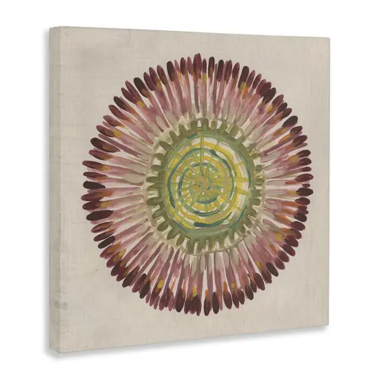 Stupell Industries Earthy Radial Aura Canvas By June Erica Vess {3}