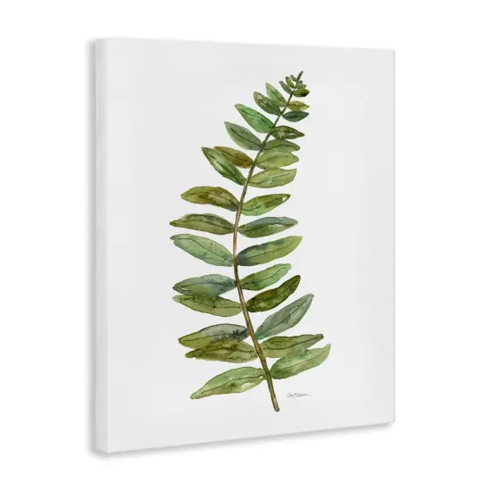 Stupell Industries Curved Fern Branch Canvas By Carol Robinson {3}