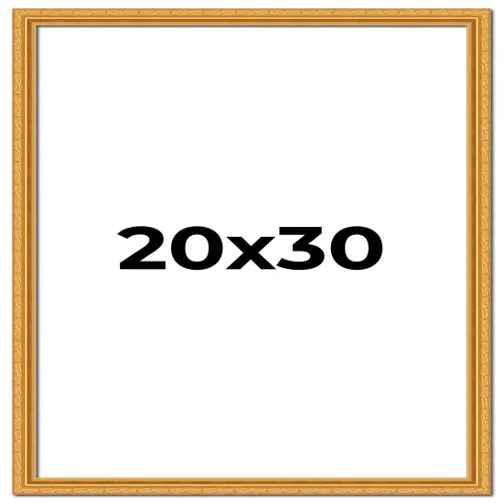20x30 Museum-Quality Picture Frame with UV-Resistant Acrylic & Acid-Free Backing, Available in 4 Finishes - Gold, Silver, Bronze, and Black {1}