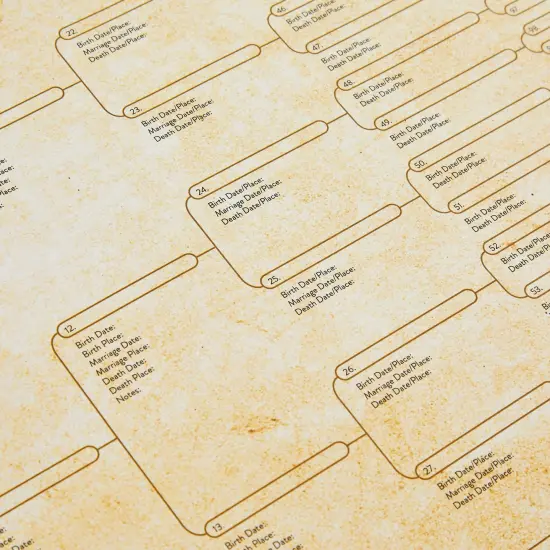 15 Pack Family Tree Charts to Fill In - Blank 8 Generation Genealogy Poster for Family History, Lineage, Reunions, Large Pedigree Ancestry Organizer (255 Total Name Spaces, 17x22 in) Brown {6}
