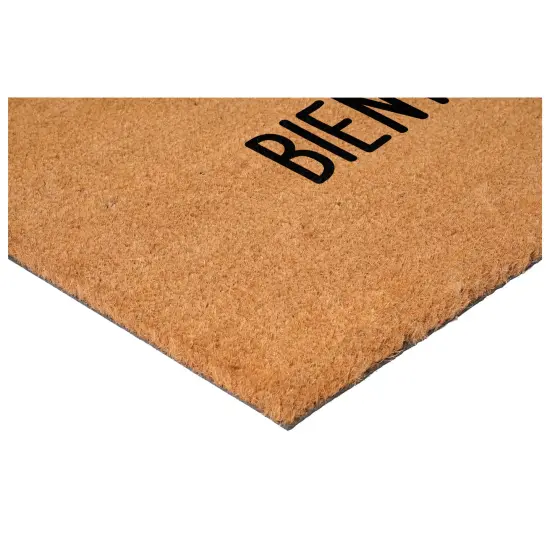 Calloway Mills Bienvenido's Doormat {2}