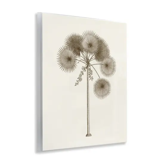 Stupell Industries Vintage Study of Palm Tree Wall Plaque Design by Phillipa Katz {3}